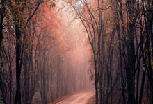 海星体育-Doinb新星回归赛场表现惊艳，独行侠未来可期！的简单介绍